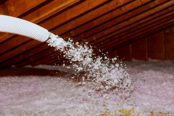 Best Eco-Friendly Insulation in Babson Park, FL