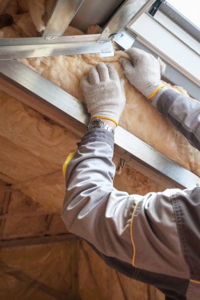 Best Cellulose Insulation in Babson Park, FL
