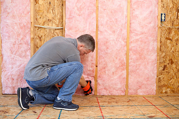 Best Geographic-Specific Insulation Services in Babson Park, FL