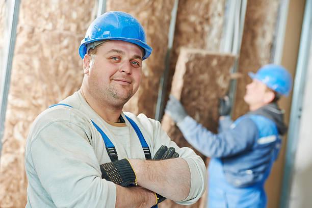 Best Specialized Insulation Services in Babson Park, FL