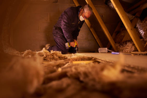 Best Fiberglass Insulation in Babson Park, FL